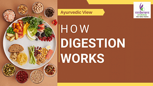 ayurvedic diet-digestion-pachan